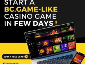 BC.Game Clone Script with Advanced Add-ons – Mines