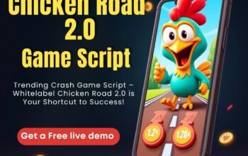 Chicken Road Game Script – A Ready-to-Launch Crash