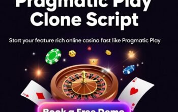 Pragmatic Clone Script – The Fast-Track to Launch