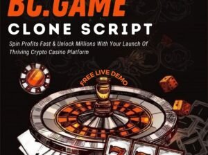 BC Game Clone with Powerful Back Office Dashboard