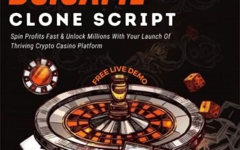 BC Game Clone with Powerful Back Office Dashboard