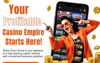 Stake Clone Script – Kickstart a Profitable Casino